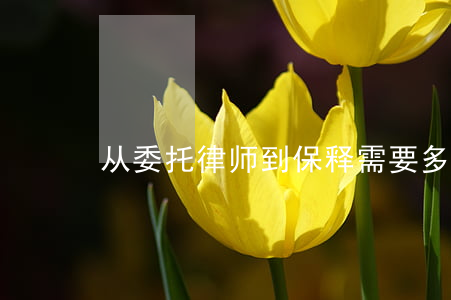 从委托律师到保释需要多久