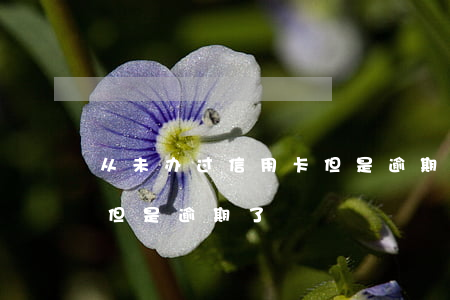 从未办过信用卡但是逾期了(从未办过信用卡但是逾期了)
