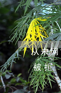从未网贷却收到逾期通知(从未逾期网贷各种被拒)