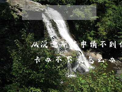 从没逾期过申请不到信用卡(有过逾期办信用卡办不下来怎么办)