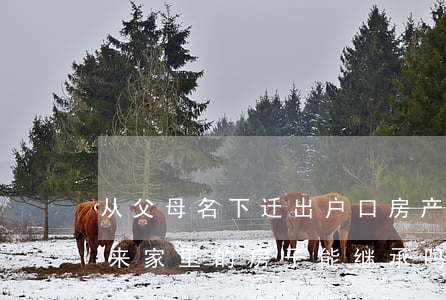 从父母名下迁出户口房产怎么继承(户口迁出来,家里的房子能继承吗?)