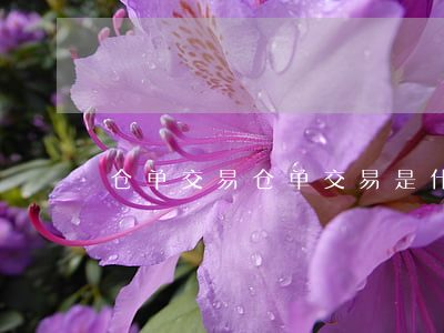 仓单交易,仓单交易是什么意思 仓单交易,仓单交易是什么意思