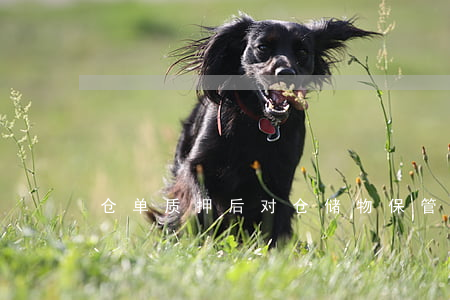 仓单质押后对仓储物保管人是否有约束力