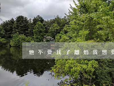 他不要我了離婚(我想要離婚,不要再這樣過)