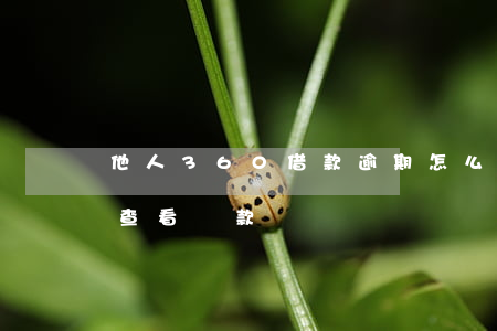 他人360借款逾期怎么查(360借款怎么查看還款記錄)