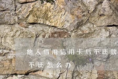 他人借用信用卡后不还款(信用卡被别人借去不还怎么办)