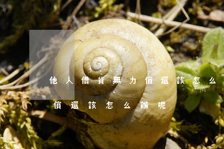 他人借貸無力償還該怎么辦-他人借貸無力償還該怎么辦呢