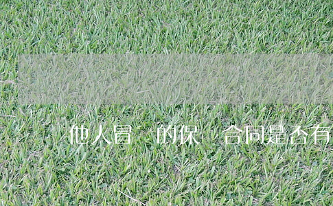 他人冒簽的保證合同是否有效？