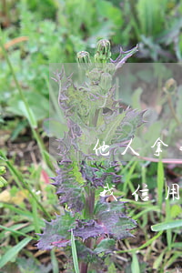 他人拿我信用卡去刷不賠怎么起訴-他人拿我信用卡去刷不賠怎么起訴對方
