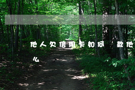 他人欠信用卡如何還款(他人用信用卡不還怎么辦)