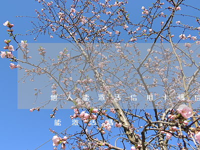 他人能激活信用卡嗎（信用卡逾期其他信用卡能激活嗎）