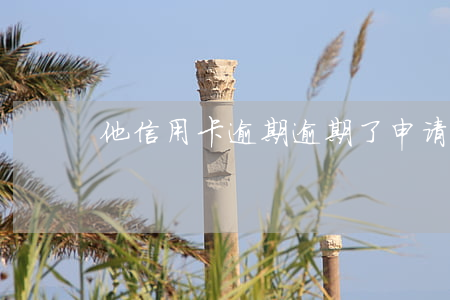 他信用卡逾期(逾期了申请信用卡)