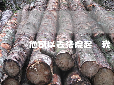 他可以去法院起訴我嗎(自己怎么去法院告他)