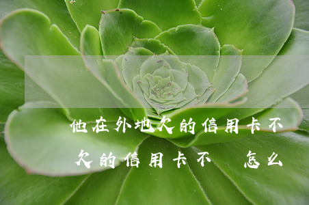 他在外地欠的信用卡不還怎么辦-他在外地欠的信用卡不還怎么辦呢