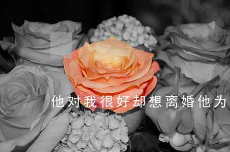 他对我很好却想离婚(他为我离婚了)