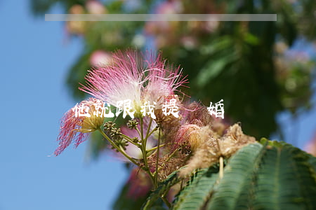 他就跟我提離婚