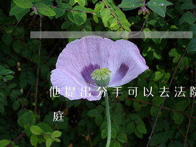 他提出分手可以去法院告他嗎(分手被告到法庭)