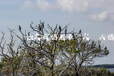 他欠我信用卡錢(欠別人信用卡錢,還不起,告我詐騙)