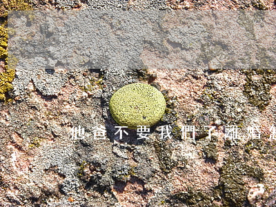 他爸不要我們了離婚怎么辦