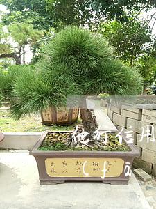 他行信用卡逾期幾年廣發(fā)秒過(廣發(fā)信用卡10萬逾期一年)