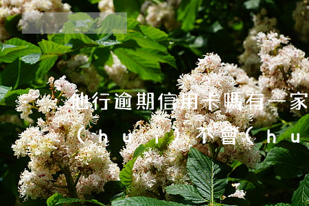 他行逾期信用卡嗎(有一家銀行信用卡逾期會(huì)不會(huì)影響其它信用卡)