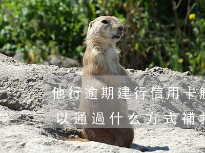 他行逾期建行信用卡解凍技巧(建行逾期了可以通過什么方式補救?)