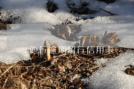 他行逾期招行信用卡凍結(jié)