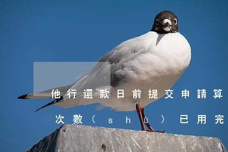 他行還款日前提交申請算逾期嗎-他行還款次數(shù)已用完怎么辦