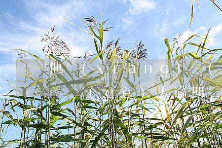 他項(xiàng)權(quán)證抵押給個(gè)人逾期還有效嗎-他項(xiàng)權(quán)證抵押給個(gè)人逾期還有效嗎怎么辦