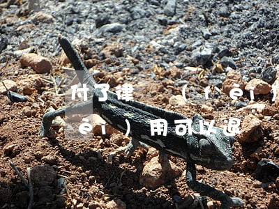 付了律師費(fèi)可以退嗎(律師費(fèi)用可以退嗎)