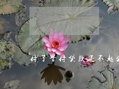 付了首付贷款还不起么办