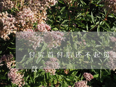 付完首付后还不起贷款(付完首付后还不起贷款)