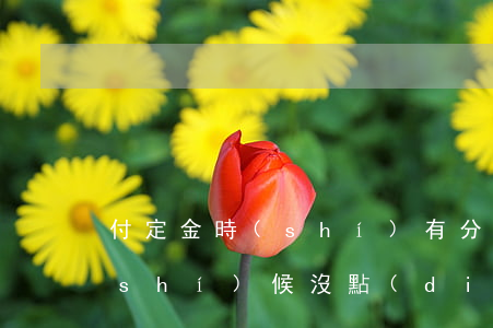 付定金時(shí)有分期免息(付定金時(shí)候沒點(diǎn)24期免息尾款時(shí)候還可以免息嗎)