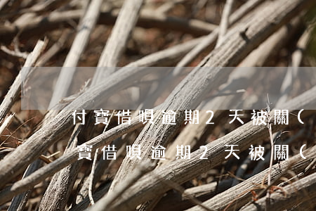 付寶借唄逾期2天被關(guān)閉了(付寶借唄逾期2天被關(guān)閉了嗎)