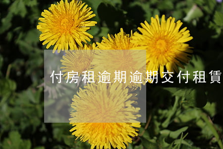 付房租逾期 逾期交付租賃房屋違約