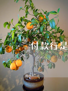 付款行是否有追索權(quán)