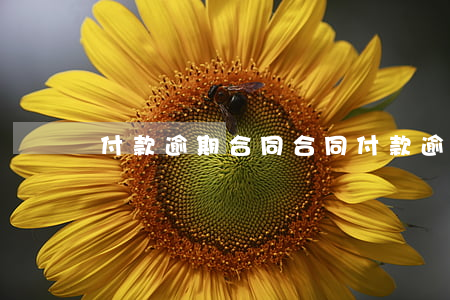 付款逾期合同(合同付款逾期條款)