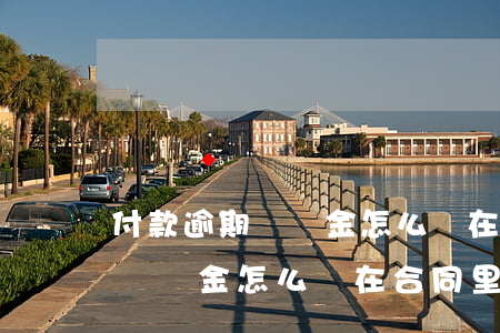 付款逾期違約金怎么寫在合同里-付款逾期違約金怎么寫在合同里面