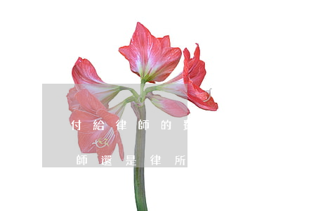 付給律師的費用算什么費用(律師費是付給律師還是律所)
