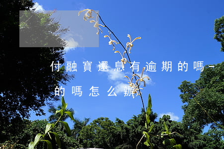 付融寶還息有逾期的嗎-付融寶還息有逾期的嗎怎么辦