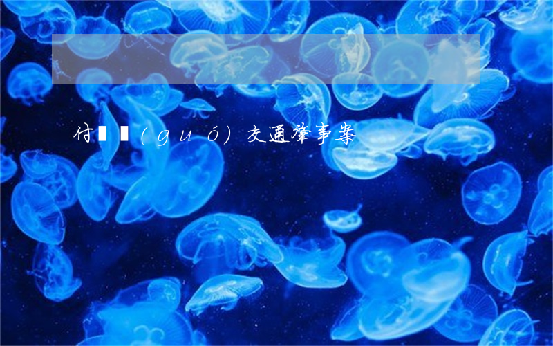 付連國(guó)交通肇事案