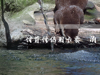 付首付信用卡要還清嗎（欠信用卡付首付）
