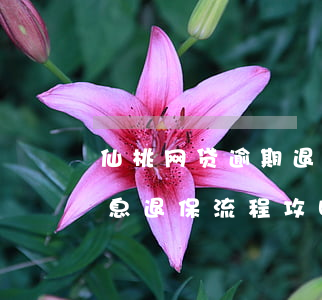 仙桃网贷逾期退息退保的方法技术-网贷退息退保流程攻略
