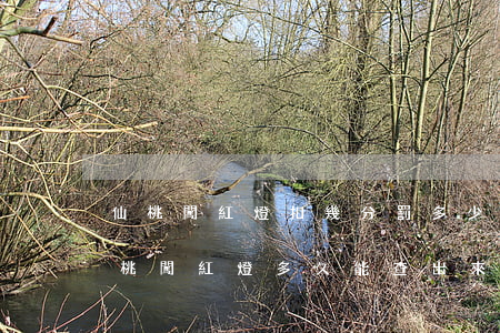 仙桃闖紅燈扣幾分罰多少錢(qián)(仙桃闖紅燈多久能查出來(lái))