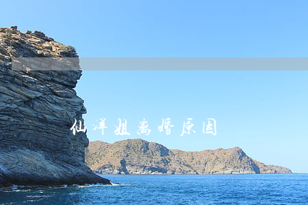仙洋姐离婚原因