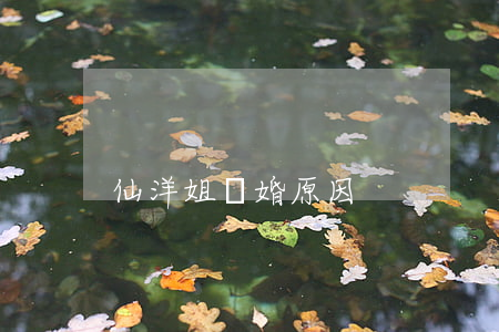 仙洋姐離婚原因