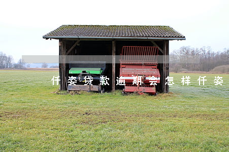 仟姿贷款逾期会怎样(仟姿贷款逾期会怎样)
