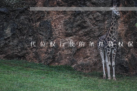 代位权行使的条件,债权保全期限是多少