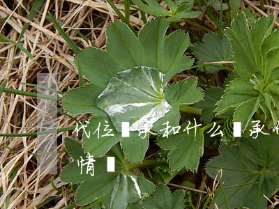 代位繼承和什么繼承(什么是代位繼承有幾種情況)