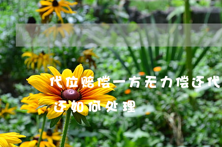 代位赔偿一方无力偿还(代位赔偿一方无力偿还如何处理)